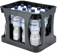MAGNUS MIW.CLASSIC PET 1ltr