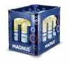 MAGNUS SPORT 0,7L GLAS-MEHRWEGFLASCHE